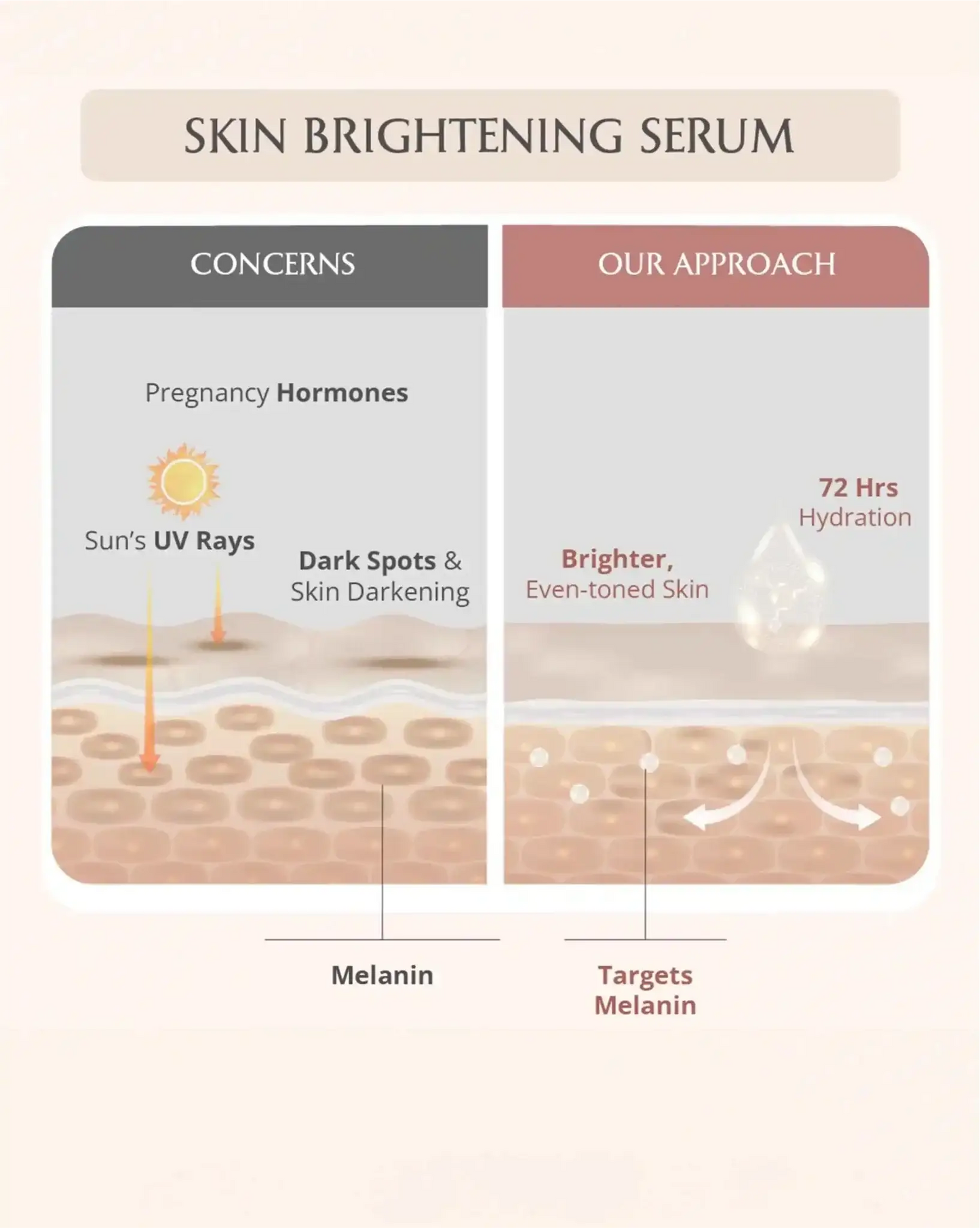 AreoVeda Skin Repair Bundle - Distacart