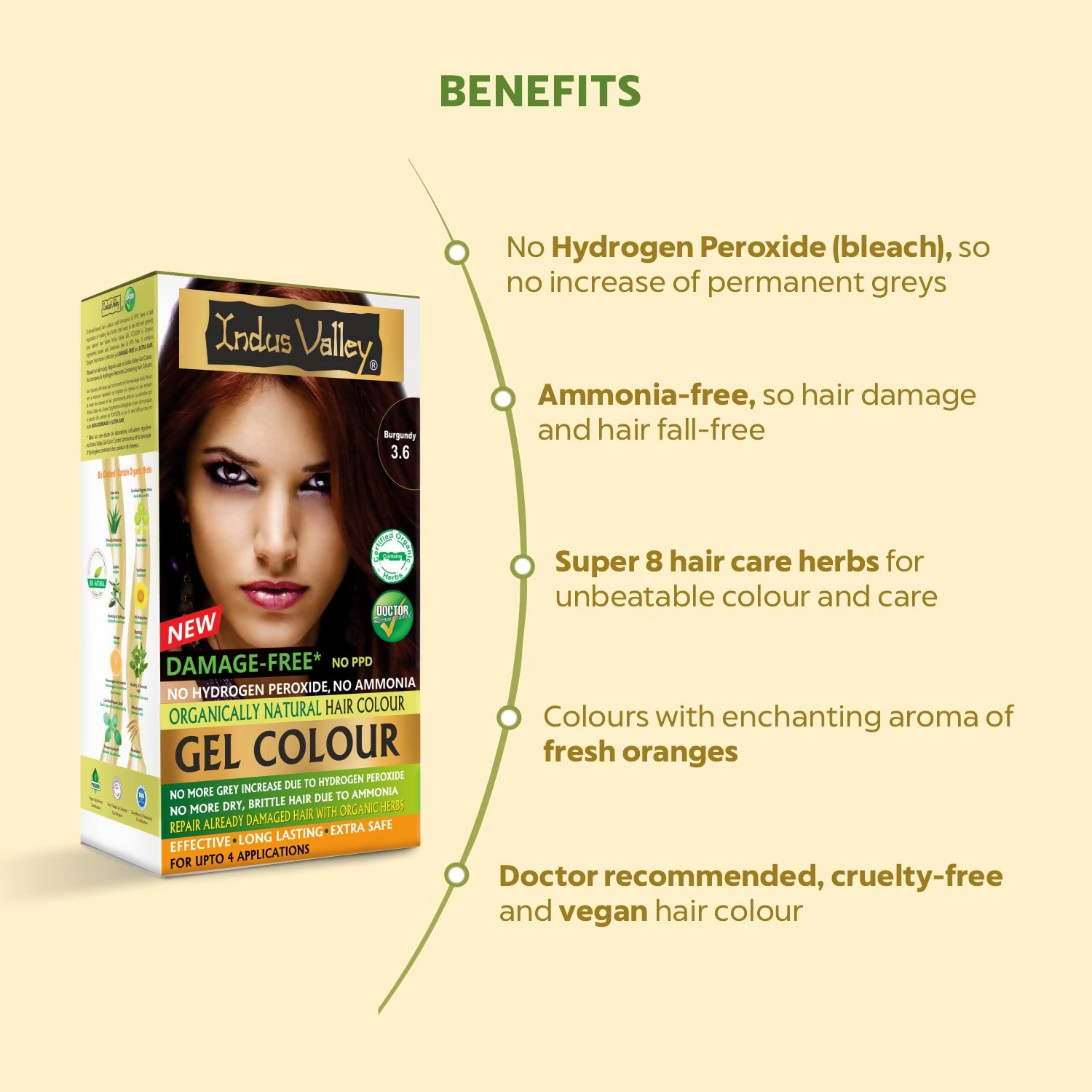 Indus Valley Damage-Free Gel Hair Color- Burgundy - Distacart