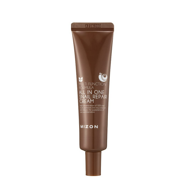 download - 2025-01-23T104500.650