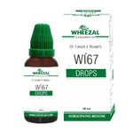 Thumbnail for Wheezal Homeopathy WL 67 Drops - Distacart