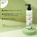 Thumbnail for Pilgrim Spanish Rosemary & Biotin Anti Hairfall Shampoo For Reducing Hair Loss & Breakage - Distacart