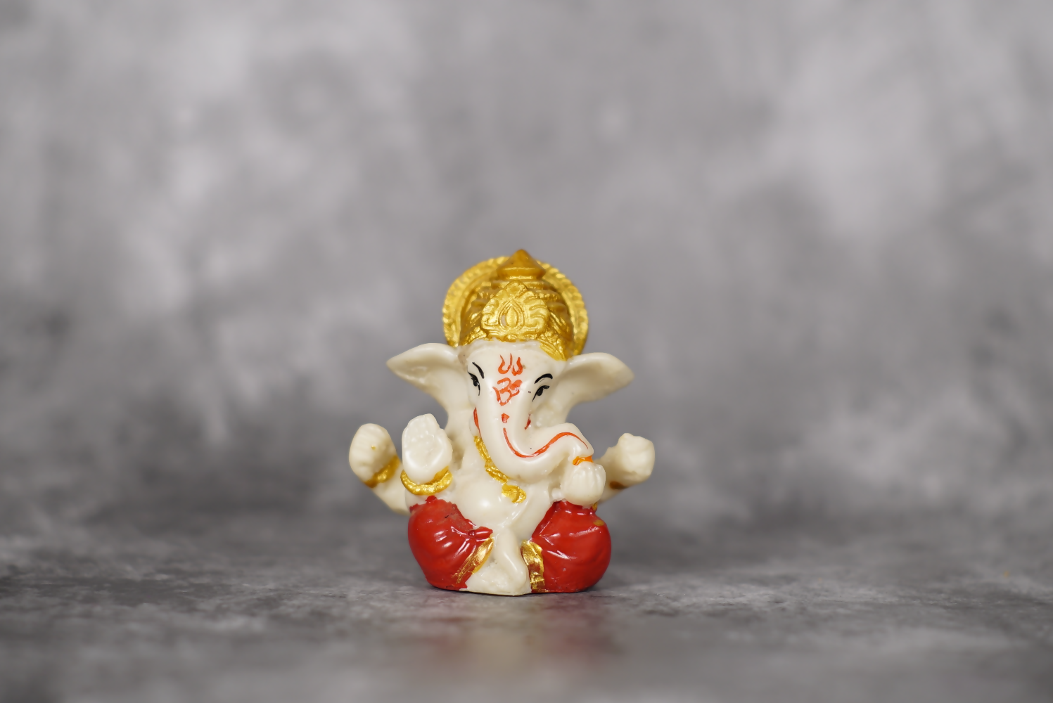 UploadsImages_CNU6795 (2) (1)