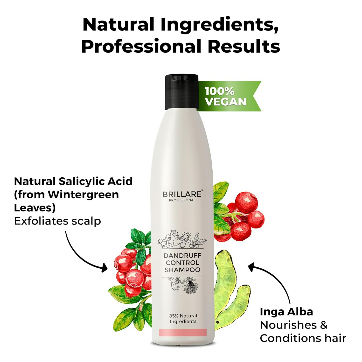 download - 2024-10-01T120106.965