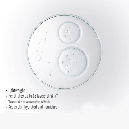 Lakme Absolute Fresh Life Essence - Distacart