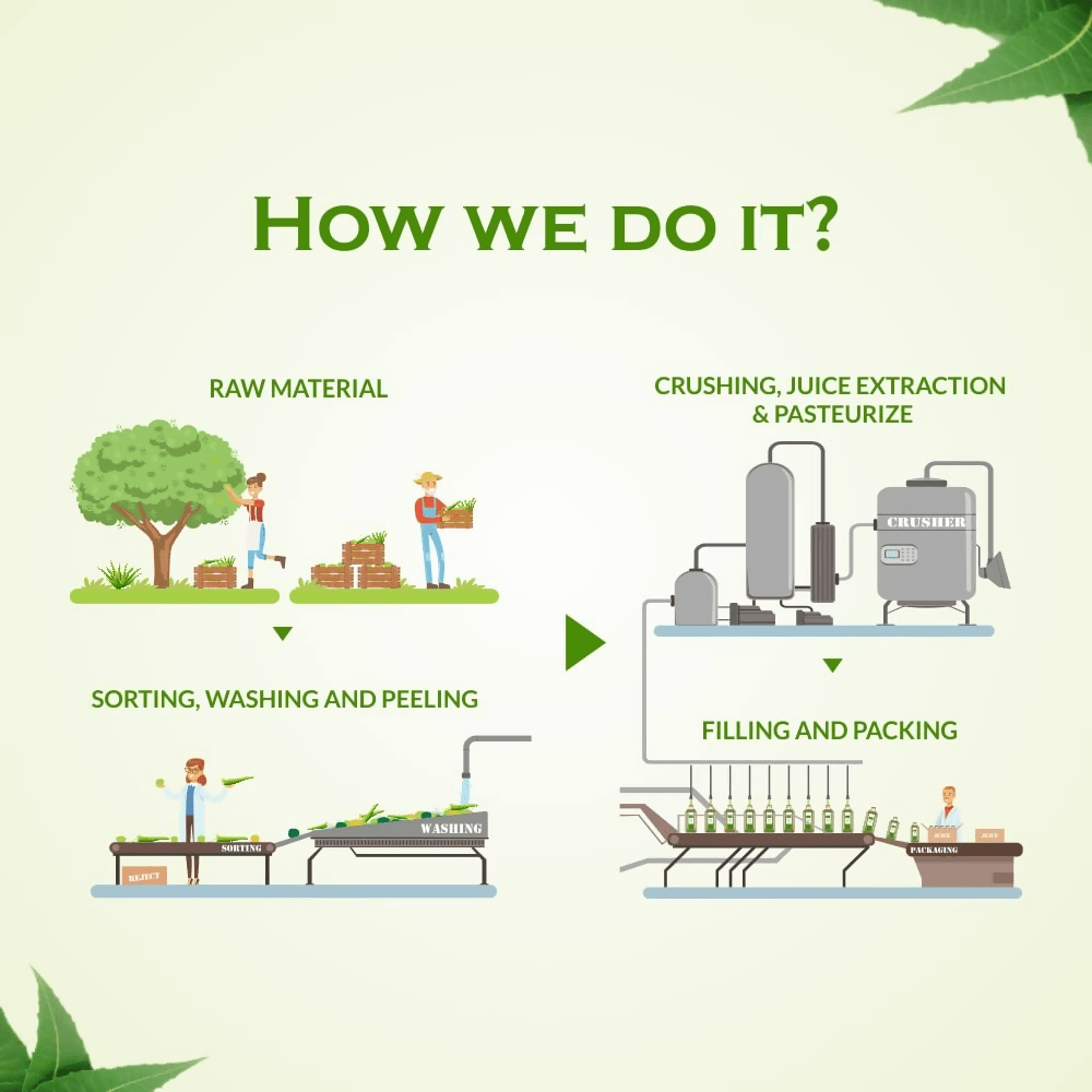 Axiom Punernava Juice - Distacart