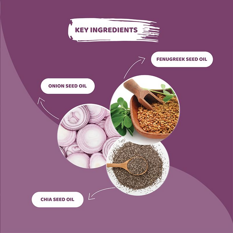 download - 2024-12-17T114603.876