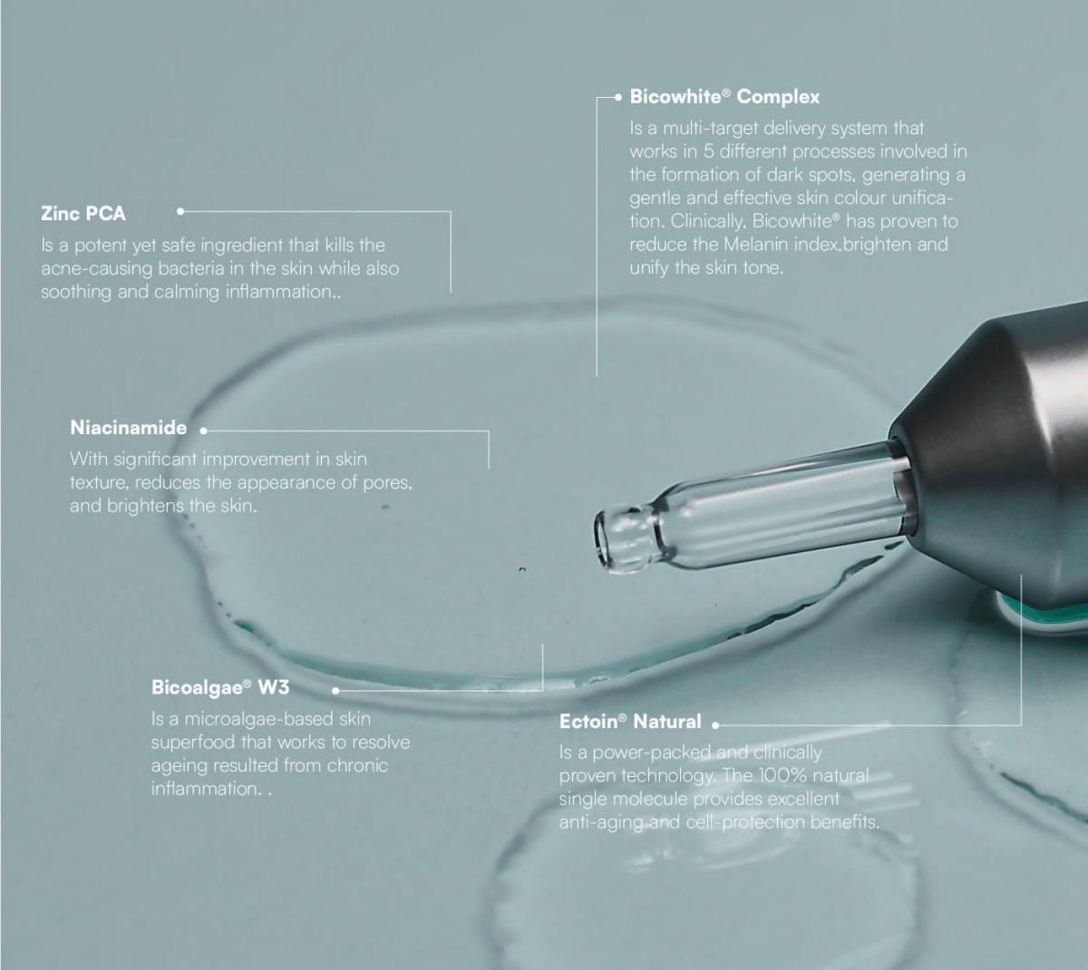 download - 2024-10-16T162629.248