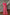 Vishnu Weaves Women's Pink Paithani Silk Zari Woven Saree with Blouse