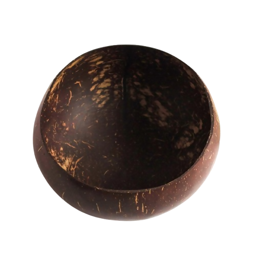 Thenga Handmade Jumbo Coconut Shell Bowls with Spoons - Dista