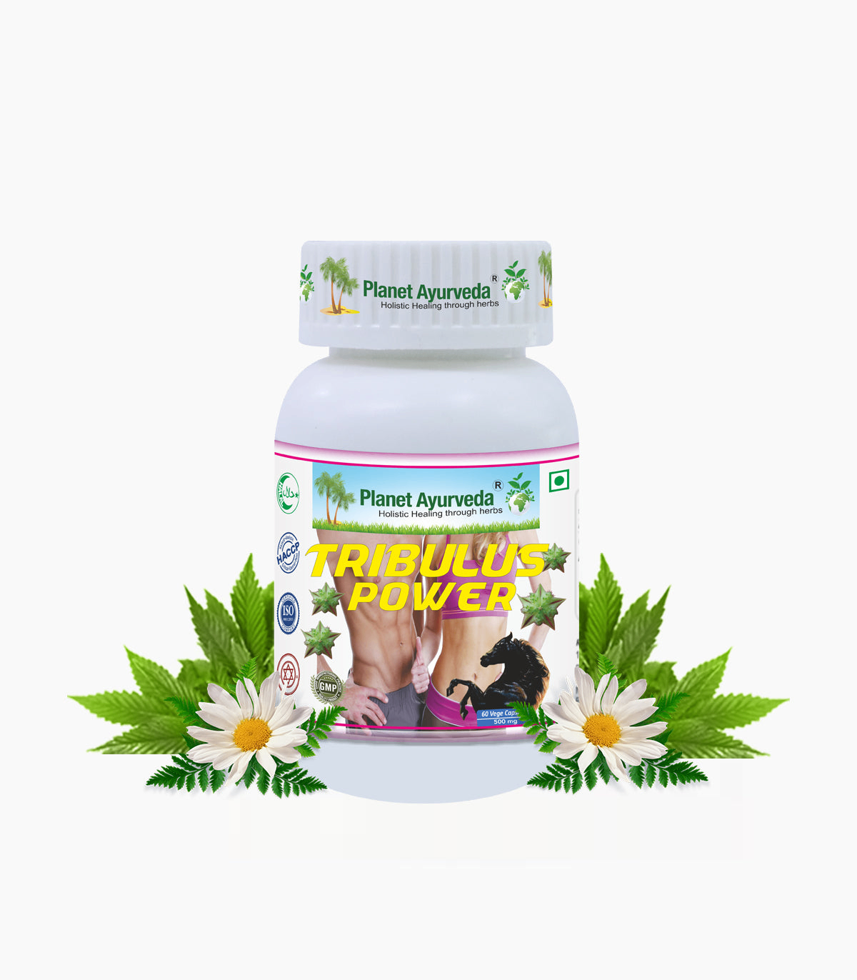 Planet Ayurveda Gokshura Power - Dista