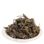 Thumbnail for Yuvika Ustekhadoos Asli - Uste Khadus - Lavandula Stoechas - Arabian Lavende