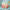 Joban Fashion Printed Mdf Clutch - Multicolor