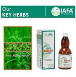 Thumbnail for Iafa Bhoomi Amla Swaras