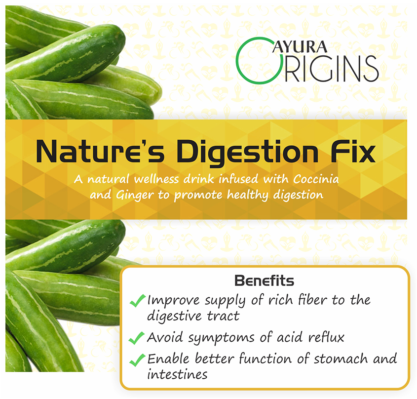 Ayura Origins Nature's Digestion Fix Powder - Distacart