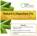 Thumbnail for Ayura Origins Nature's Digestion Fix Powder - Distacart