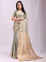 Thumbnail for Astita Organza Grey Saree