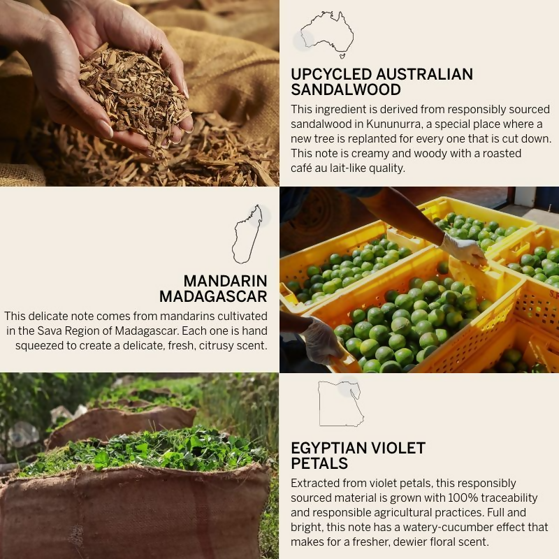 Victoria's Secret Bare Fine Fragrance Lotion - Distacart