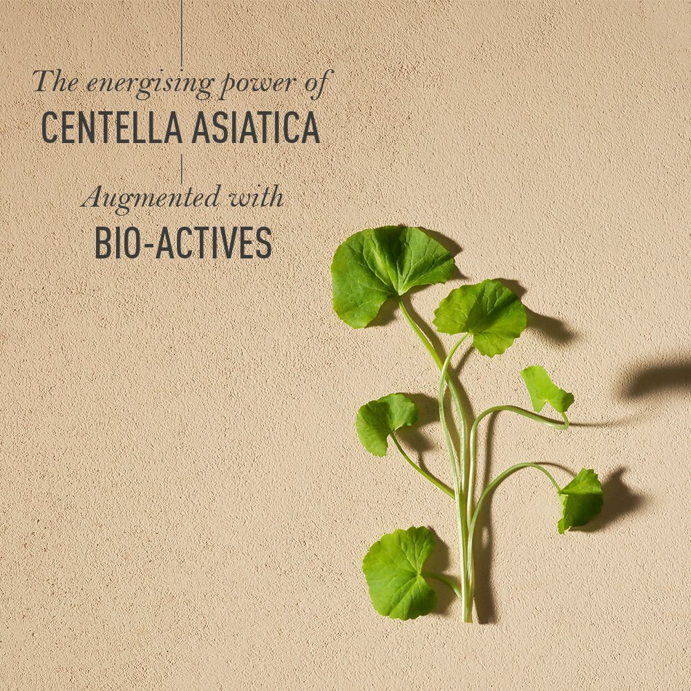 0ecbe4cKAMAA00000350_3