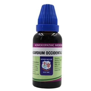 Father Muller Anacardium Occidentale Mother Tincture Q - Distacart