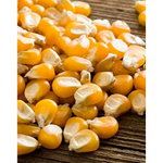 Thumbnail for FreshoCartz Popcorn Kernel Seeds