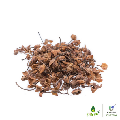 Nxtgen Ayurveda Nagkesar - Distacart