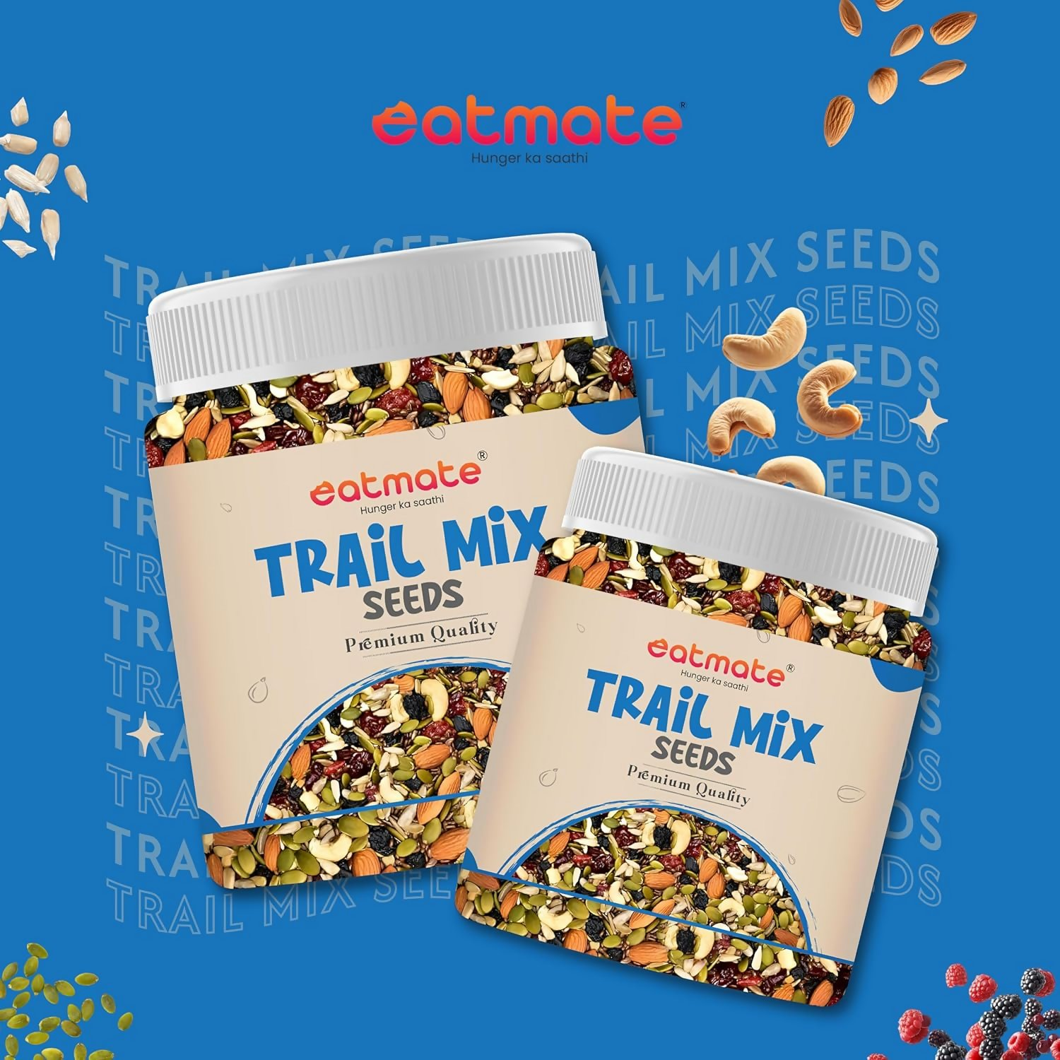 Eatmate Absolute Healthy Dry Fruits and seedMix Premium Trail Mix - Distacart