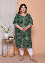 Thumbnail for Miravan Womens Plus Size Green Zigzag Print Embroidery Rayon Straight Kurta - Distacart