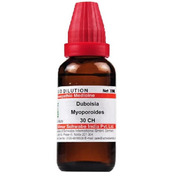 Dr. Willmar Schwabe India Duboisia Myoporoides Dilution - Distacart