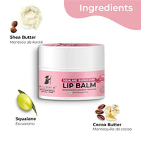 Thumbnail for Pilgrim Spanish Lip Balm (Bubblegum) For Dark Lips, Soothing & Hydrating Dry & Chapped Lips - Distacart