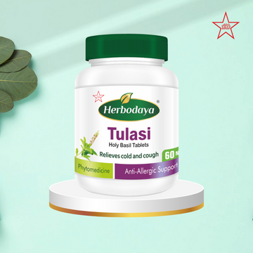 Skm Ayurveda H.Tulasi Tablets - Distacart