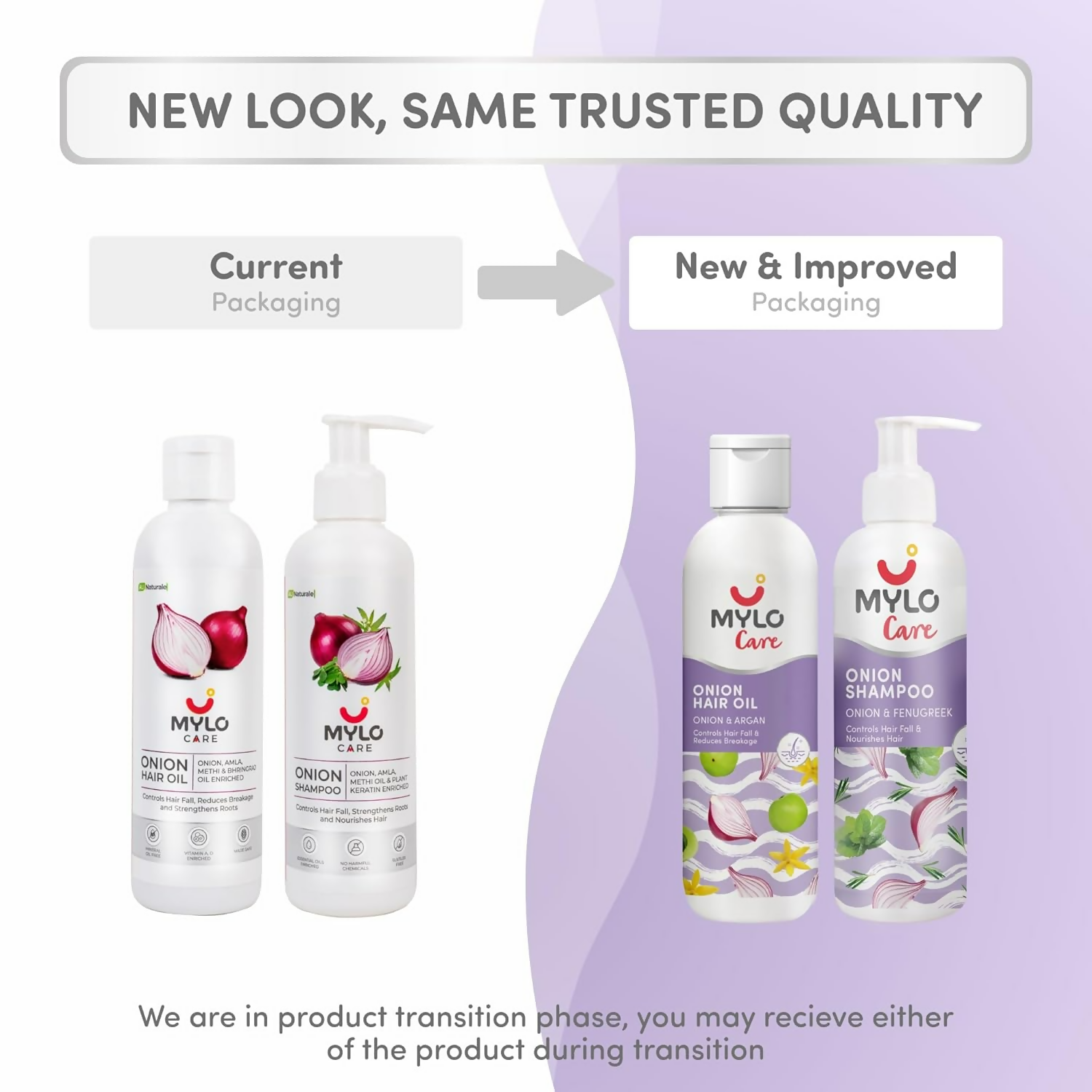 download - 2025-01-25T144717.612