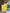 J4940YELLOW (1)-2000x2667