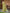Astita Linen Yellow Green Saree