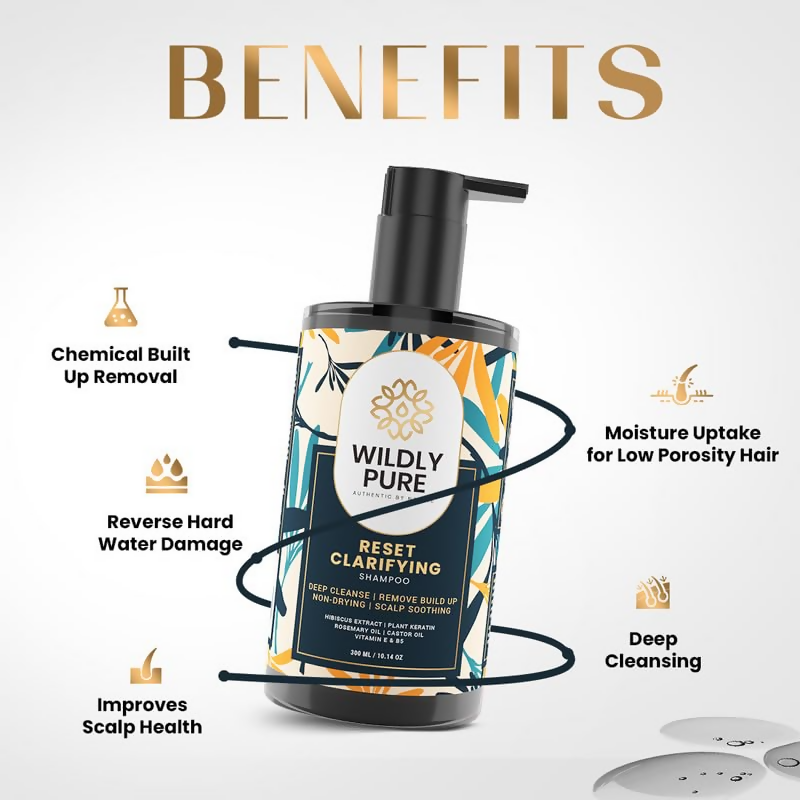 download - 2024-11-19T182753.505