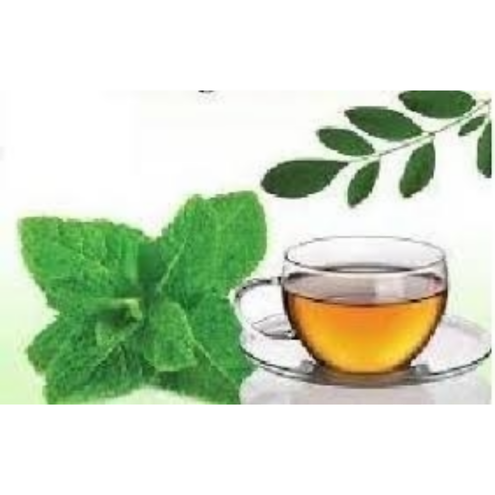 Nxtgen Ayurveda Moringa Peppermint Infusion - Distacart