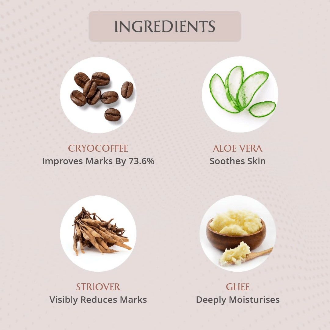 download - 2024-11-13T155226.280