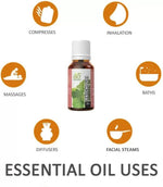 Thumbnail for Ae Naturals Patchouli Essential Oil