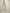 Joban Fashion Sky Blue Cotton Blend Jamdani Saree