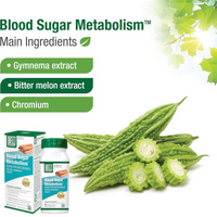 Thumbnail for Blood Sugar Metabolism 02