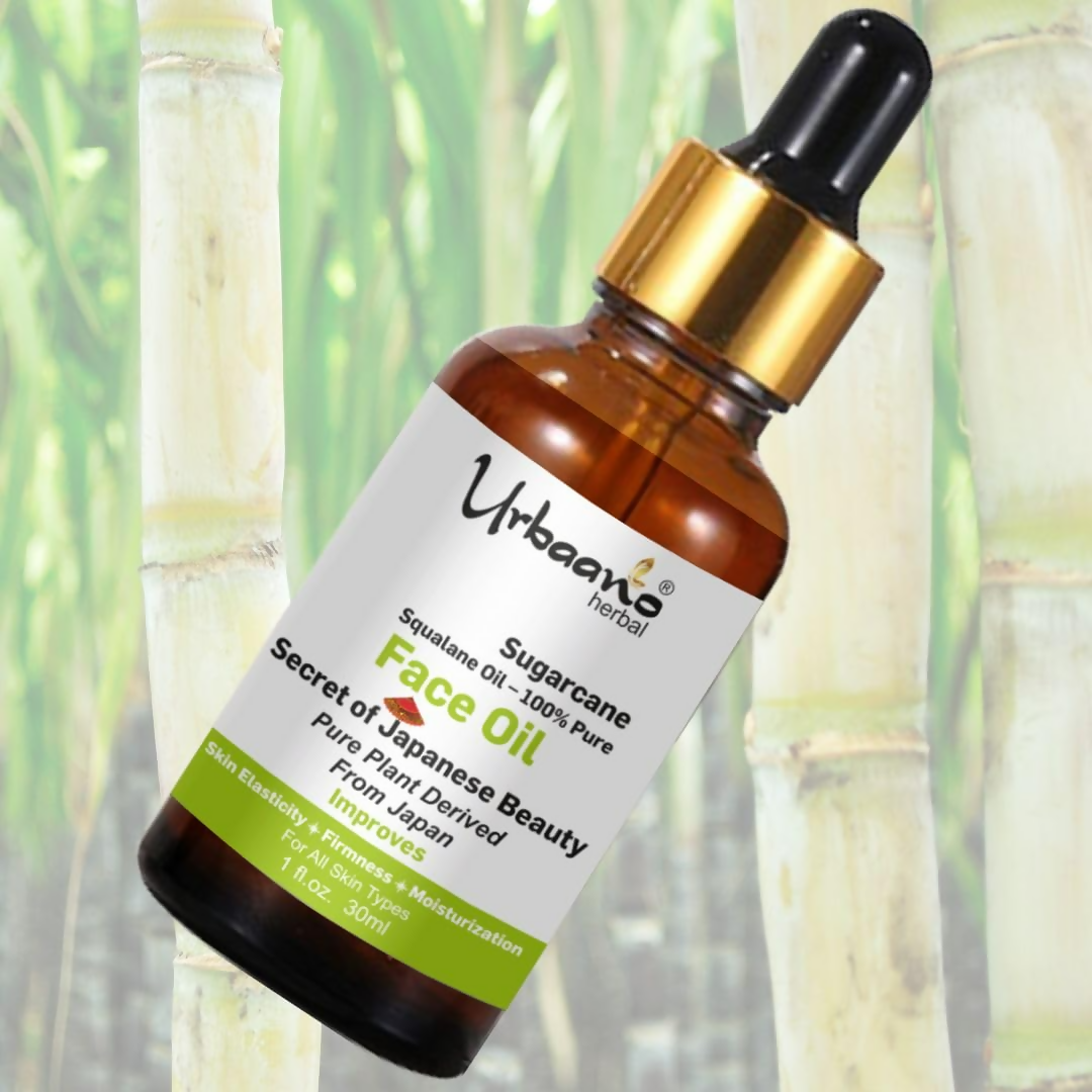 download - 2025-05-03T141723.235