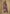 Vegaa Fashion Violet Chinon Sequence Embroidered Salwar Suit