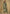 Vegaa Fashion Mahendi Chinon Sequence Embroidered Salwar Suit