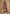 Vegaa Fashion Wine Chinon Sequence Embroidered Salwar Suit