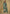Vegaa Fashion Aqua Blue Chinon Sequence Embroidered Salwar Suit