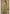 Vegaa Fashion Multicolor Chinon Silk Digital Print Western Style Palazzo Suit