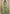 Vegaa Fashion Sea Green Chinon Silk Digital Print Western Style Palazzo Suit