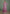 Vegaa Fashion Pink Real Georgette Embroidered Anarkali Suit