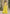 Vegaa Fashion Yellow Chinon Silk Embroidered Western Palazzo Suit