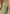 Vegaa Fashion Bottel Green Real Chinon Silk Embroidered Anarkali Suit