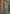 Vegaa Fashion Sky Blue Viscose Simar Butti Embroidered Palazzo Suit